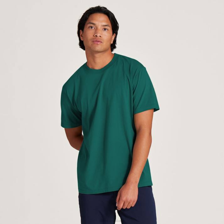 camiseta_masculina_de_algodao_allgood_884j122_esmeralda_profunda_allbirds.jpg camiseta masculina de algodão allgood 884J122 esmeralda profunda Allbirds - Image 1