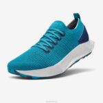 panfletos de árvore para homens 884J97 prosperar verde-azulado (sola nevasca) Allbirds